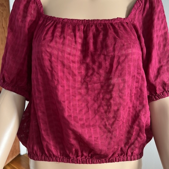 EXPRESS Short Sleeve Crop Top Size M - Picture 3 of 8